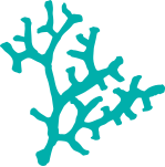 Interpreter and Translation